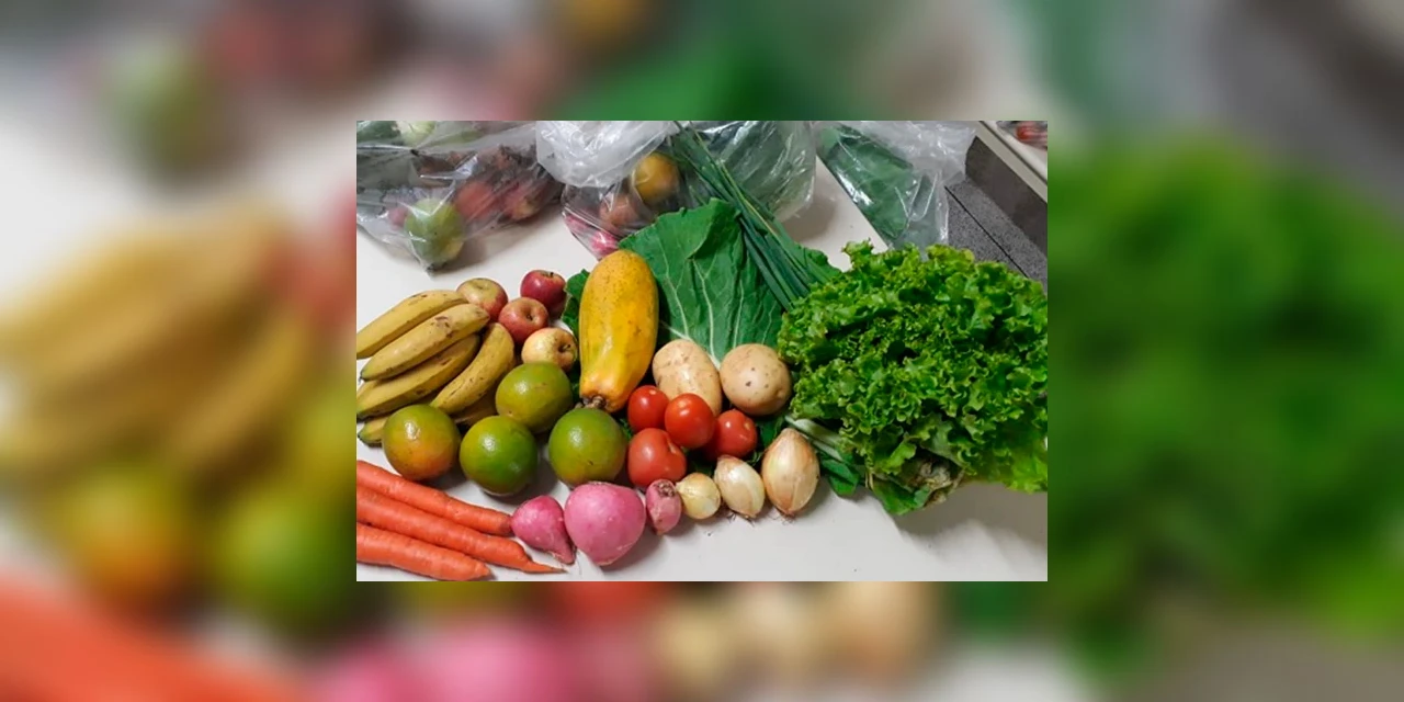 Cerca de 160 alunos do distrito de Periquitos recebem cesta com frutas e verduras da merenda escolar