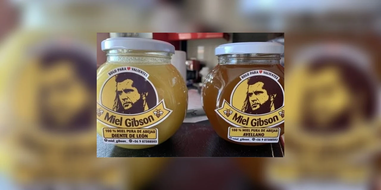 Vendedora de mel dá nome de "Miel Gibson" para a sua marca e é notificada por uso de imagem indevido