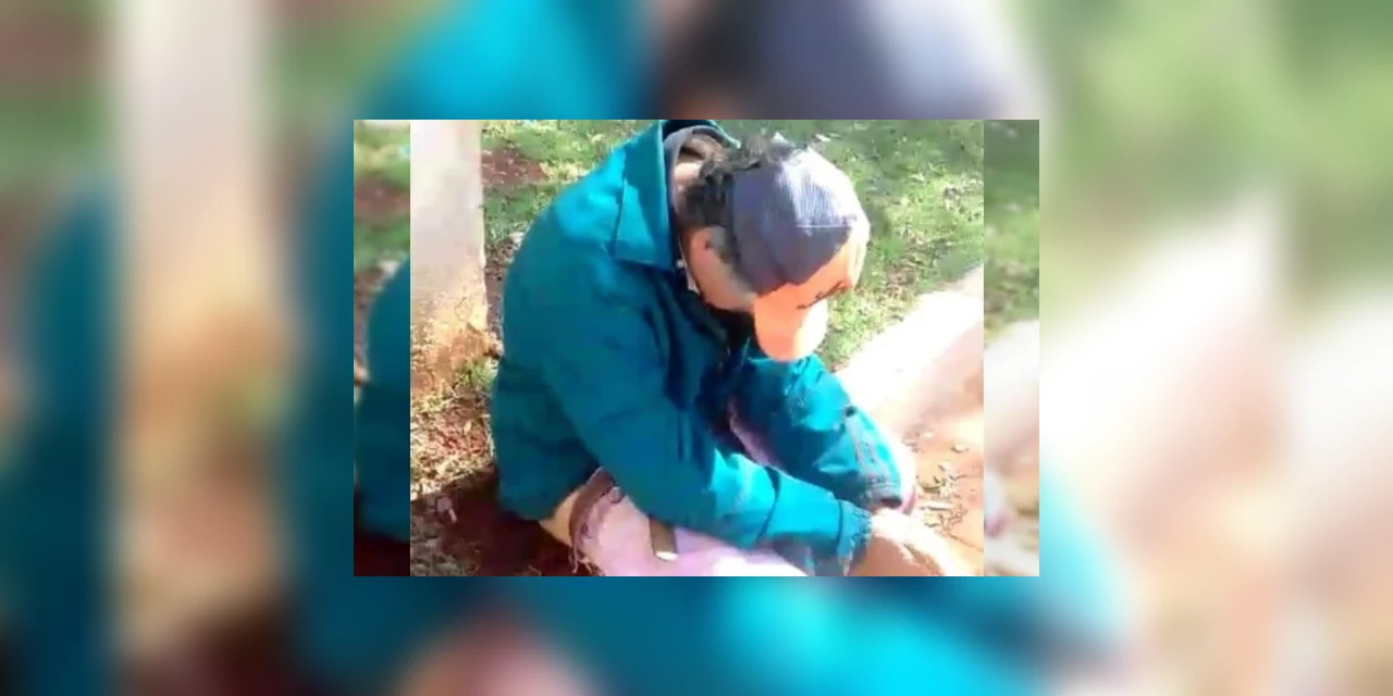 Vídeo: Homens que induziram deficiente mental a sentar em formigueiro em troca de bebida podem ser indiciados por tortura