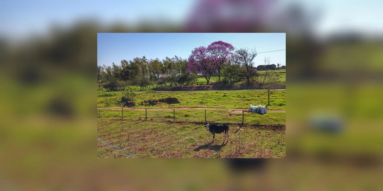 Paraná auxilia mais de 1.600 pequenos produtores em processo de regularização de terras