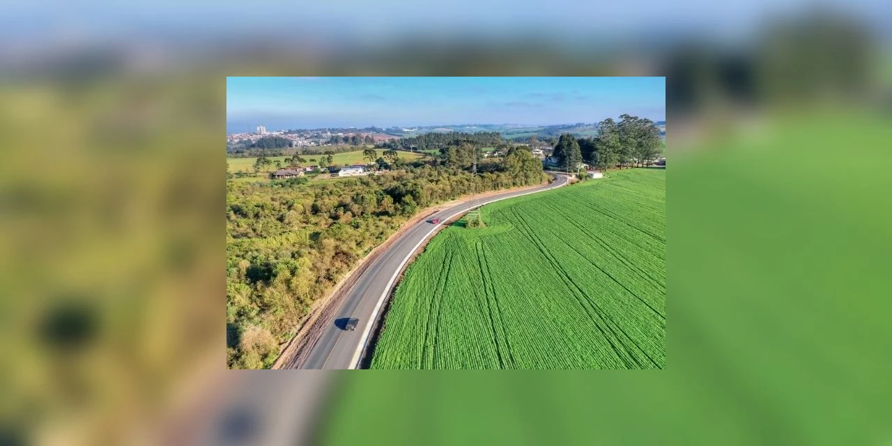 Produção de leite é beneficiada por pavimentação de estrada em Carambeí