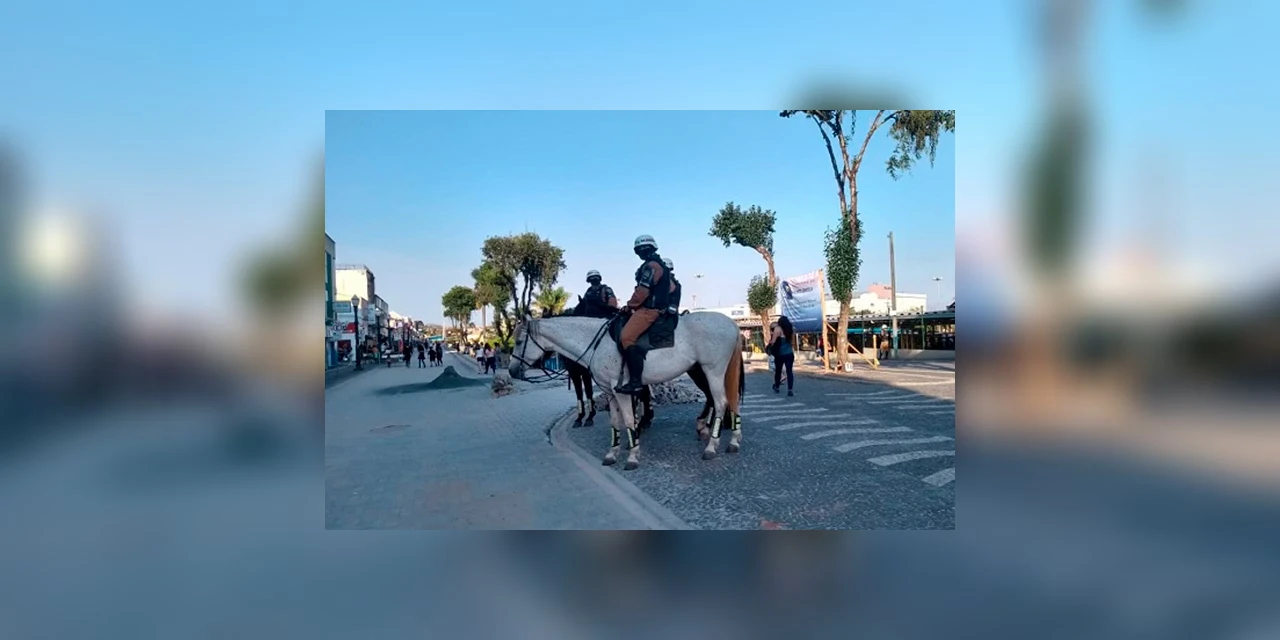 Polícia Militar segue com a 'Operação Ostensividade' em PG; confira os resultados