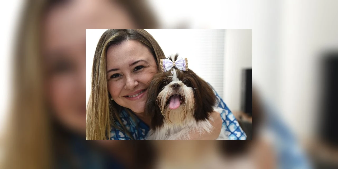 Vai caminhar com o cachorro? Veja dicas para preservar a saúde do animal