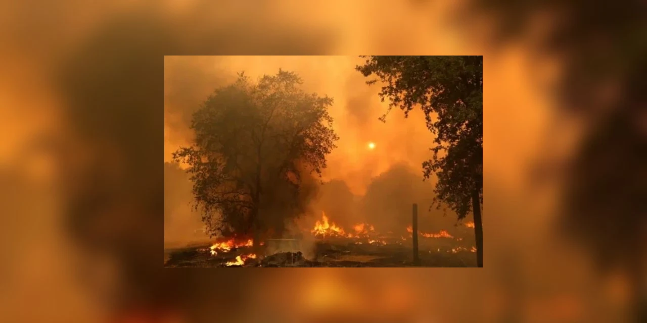Chá de revelação causa incêndio ambiental na Califórnia (EUA)