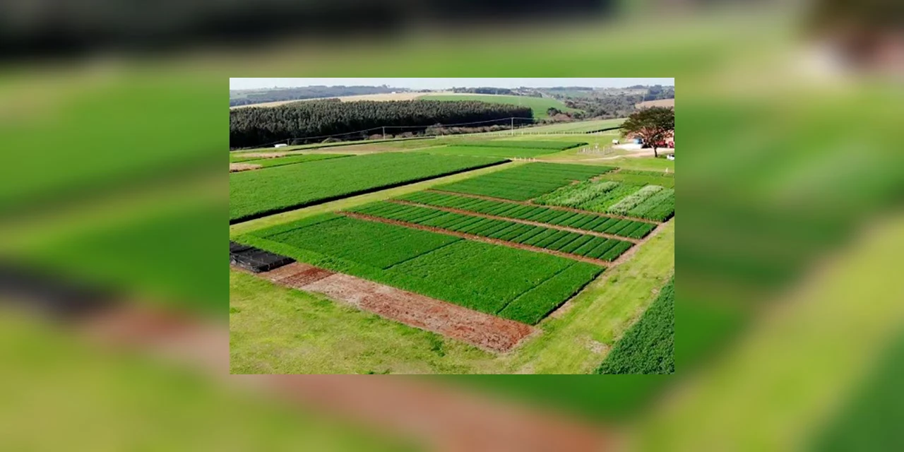 Show Tecnológico Inverno será realizado pela internet e contará com a presença do jornalista Alexandre Garcia