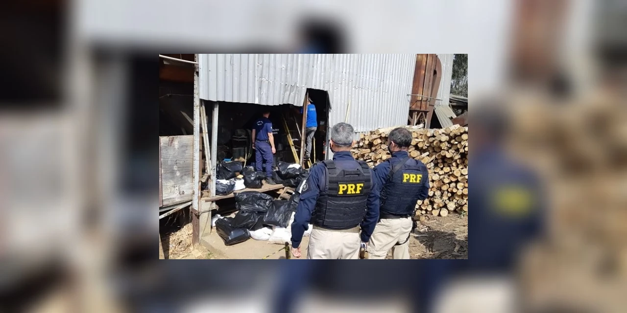 Vídeo: PRF incinera mais de 11 toneladas de maconha nos Campos Gerais