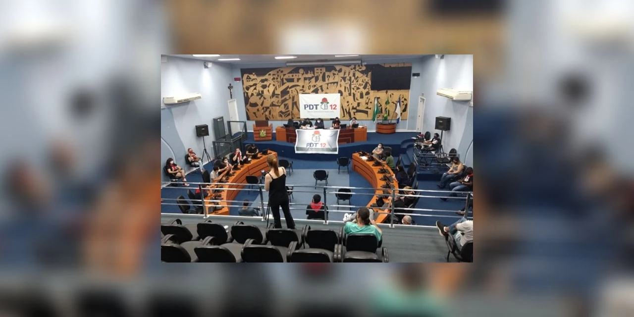 Em convenção, PDT decide apoiar candidatura de Mabel Canto à Prefeitura de PG