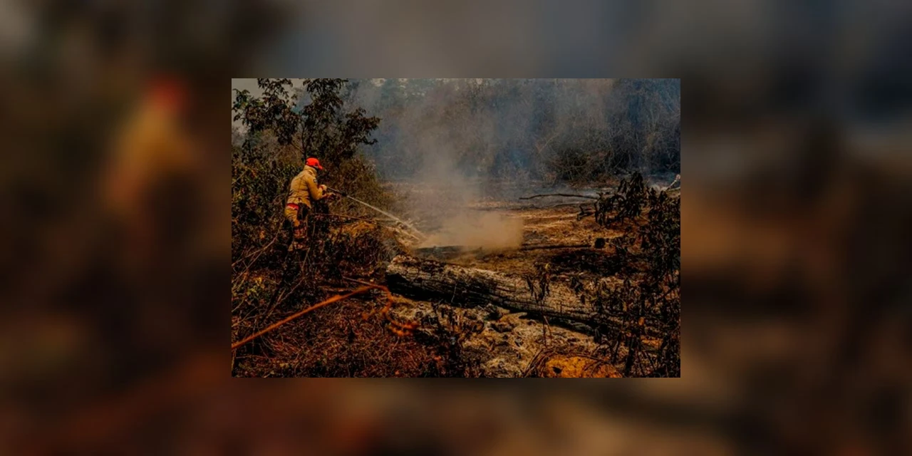 Focos de fumaça das queimadas do Pantanal chegam a PG, alerta instituto de meteorologia