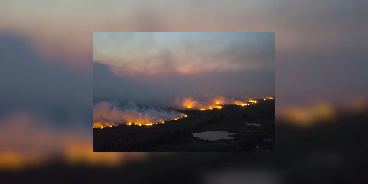 Senado instala comissão para acompanhar ações de enfrentamento aos incêndios no Pantanal