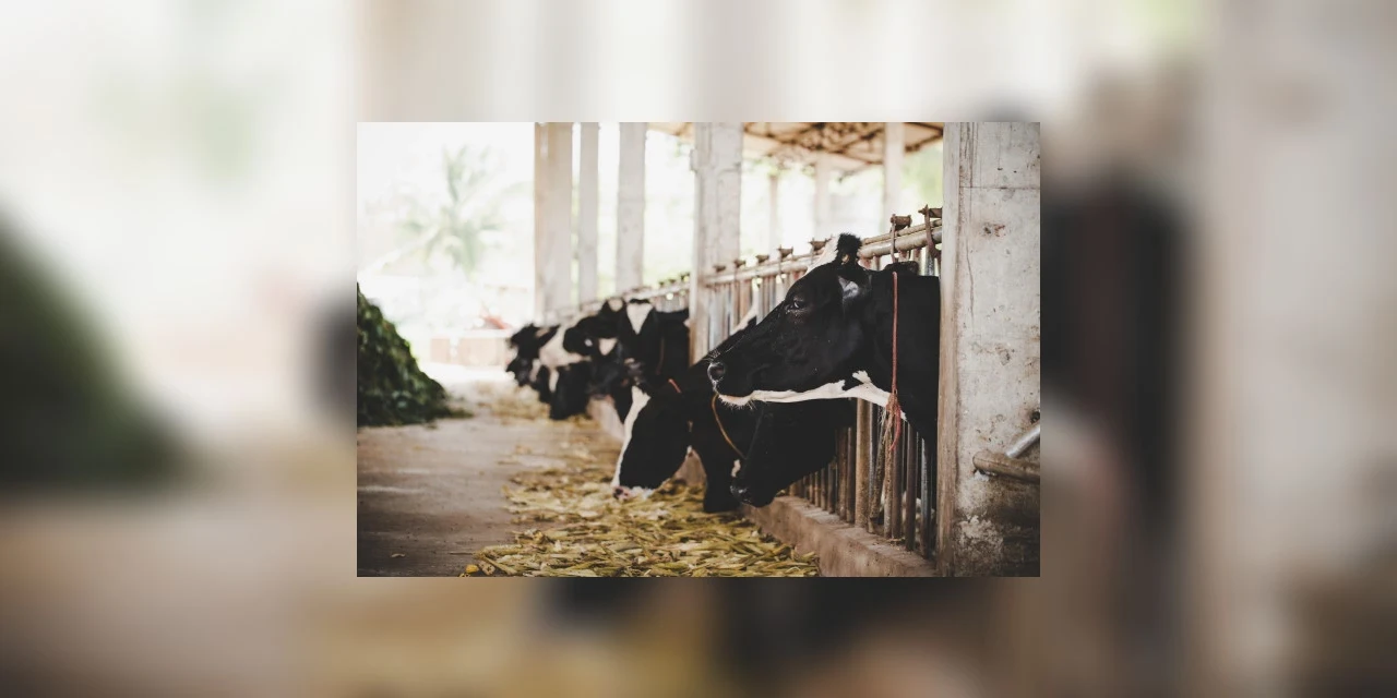 Laboratório da China vaza bactéria e contamina mais de três mil pessoas