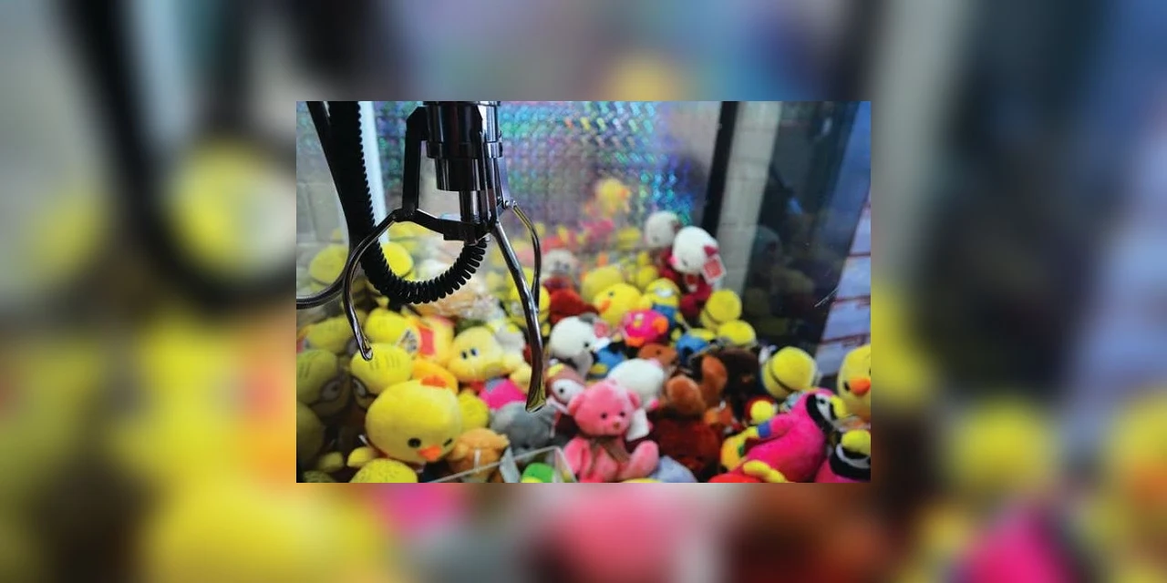 Empresa de PG fabrica pelúcias para máquinas de "pegar bichinhos" de todo o Brasil