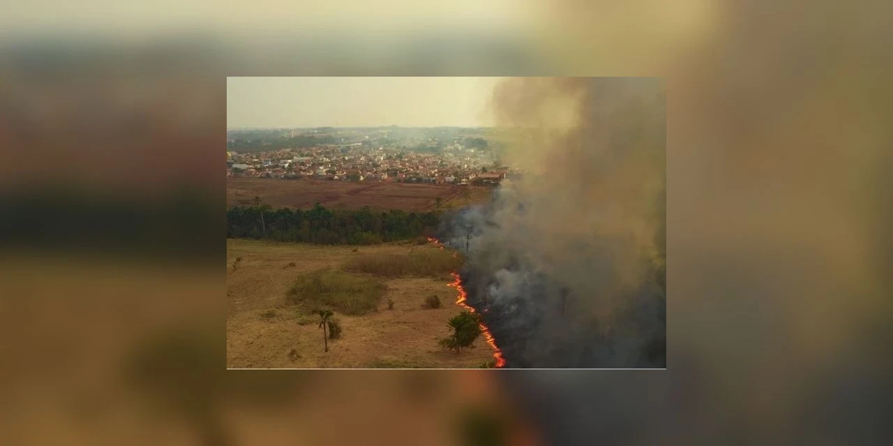 Em diligência no Pantanal, senadores dizem que cenário é devastador