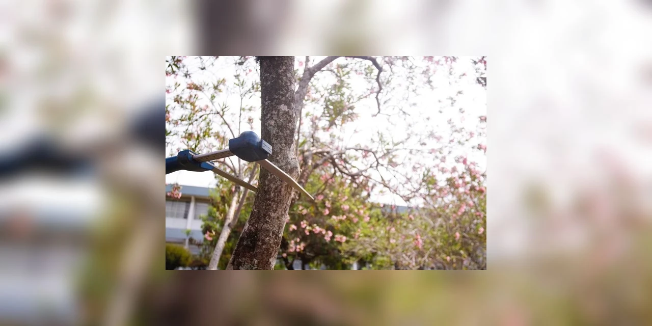 Herbário da UEPG é instrumento de ensino e pesquisa para estudantes de diversos cursos