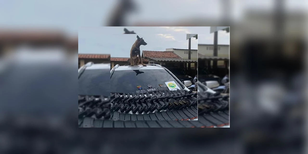 Fuzis do exército norte-americano são apreendidos no Paraná