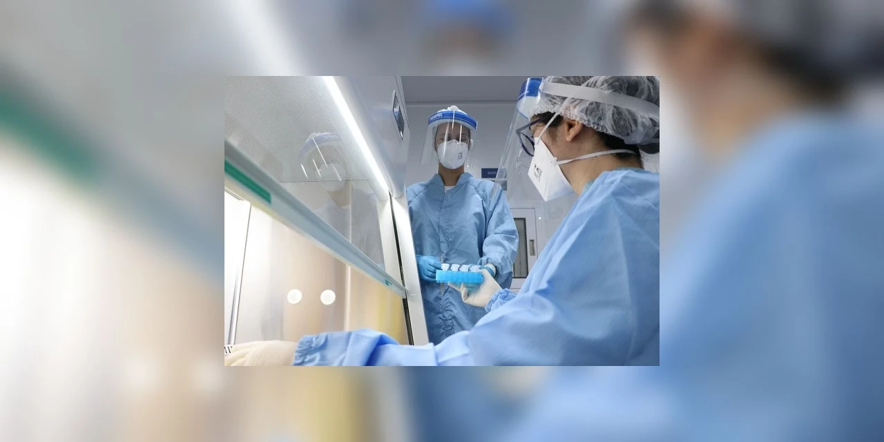 Cientistas brasileiros alertam para danos cerebrais causados pelo coronavírus