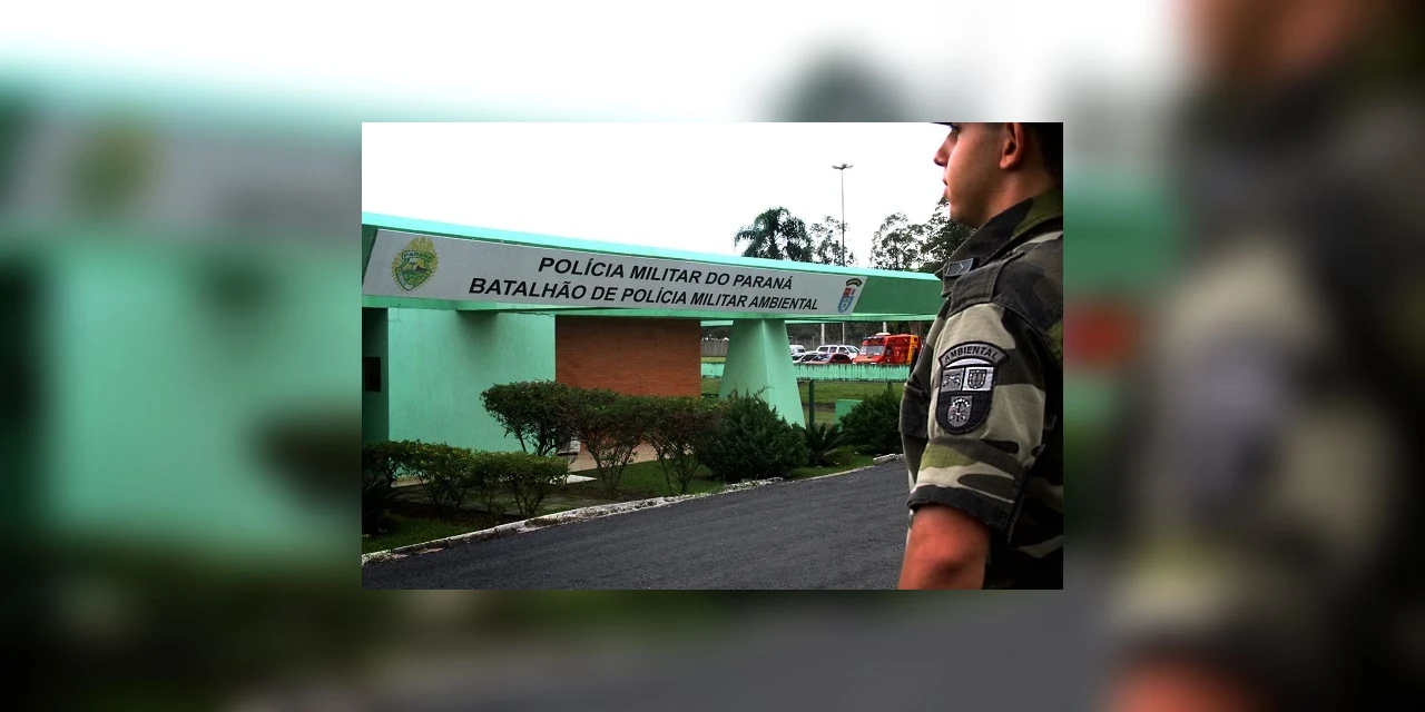 Força Verde deflagra megaoperação de proteção à Mata Atlântica