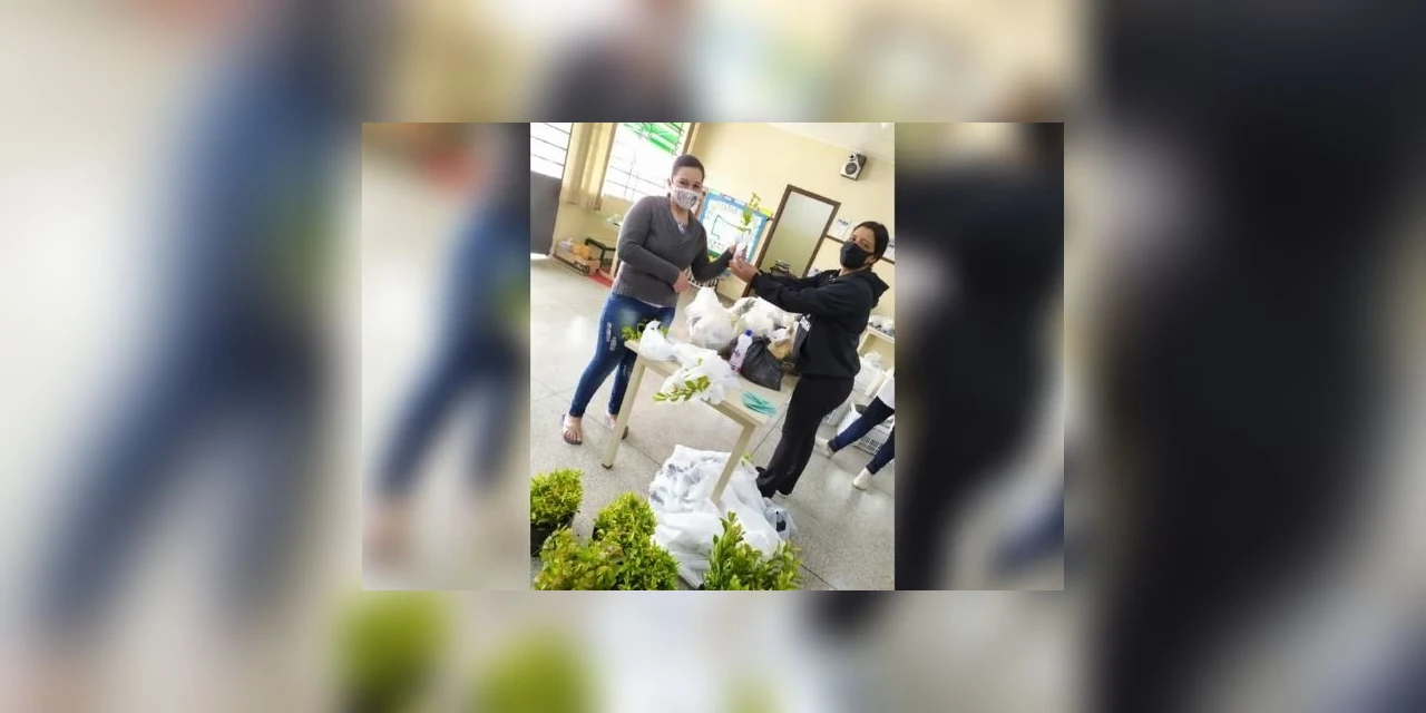 Escola Municipal de PG distribui cerca de 400 mudas de árvores para os alunos