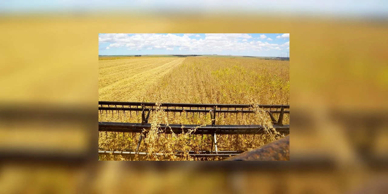 Produção de grãos no Paraná deve atingir a marca de 40 milhões de toneladas