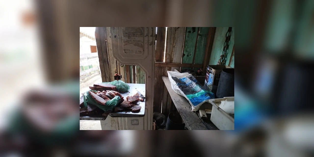 Homem é preso suspeito de roubar cabeças de gado em Jaguariaíva
