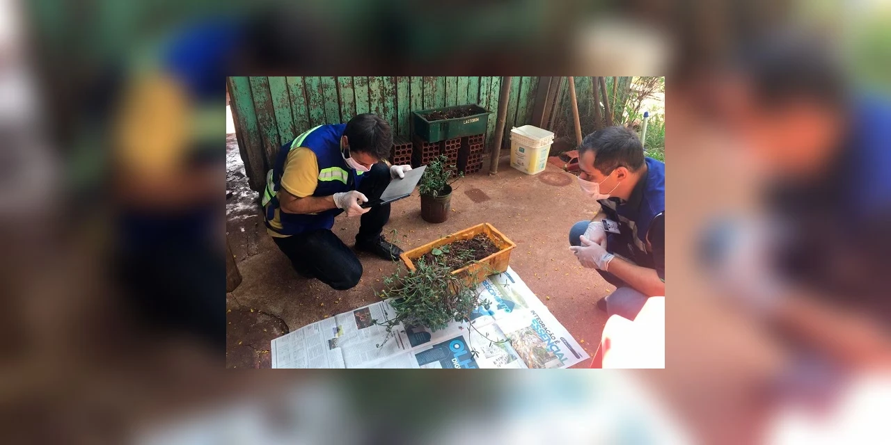 Ponta Grossa recebe sementes clandestinas vindas da Ásia e o caso é investigado
