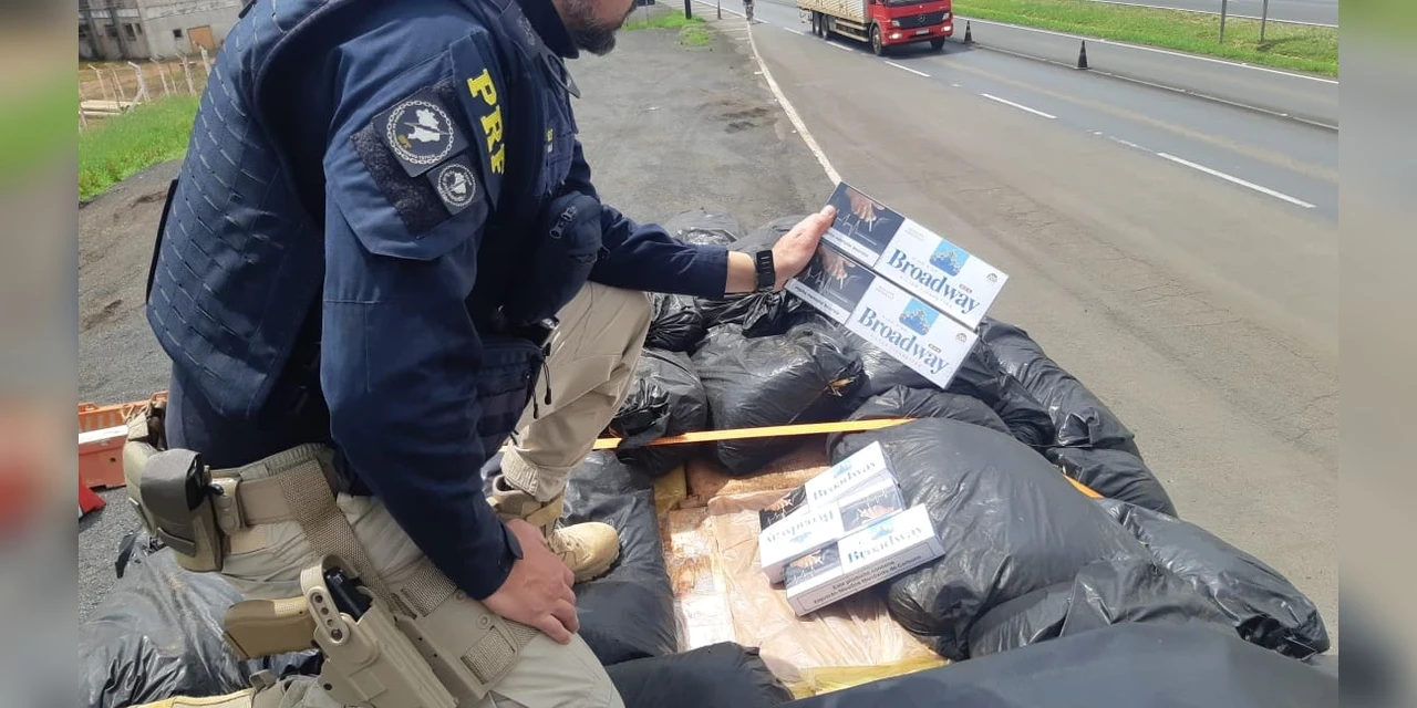 PRF apreende 200 mil maços de cigarro contrabandeados em Palmeira