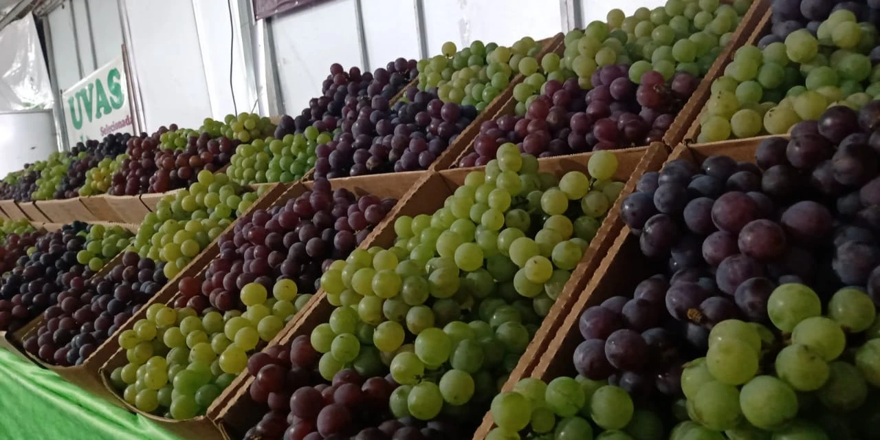 38ª Festa da Uva encerra neste domingo (24)