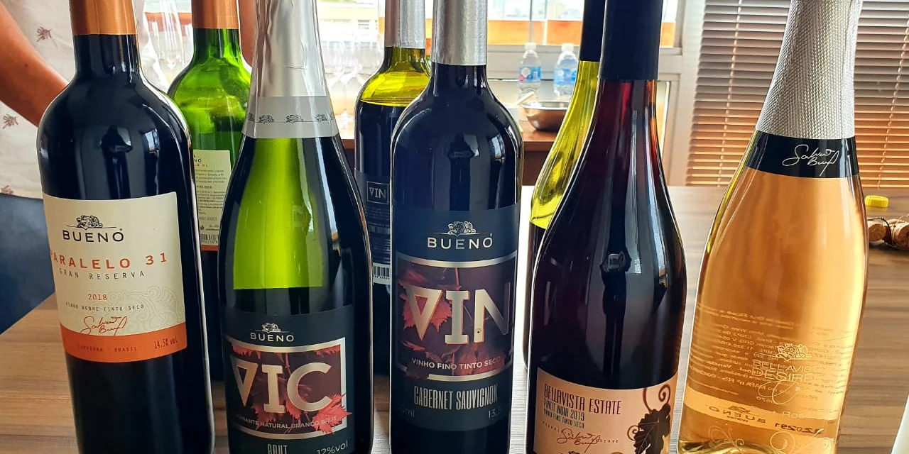 Vinhos & Viagens: Vinhos do Brasil, Chile e Portugal foram apresentados no primeiro encontro do ano da FEH