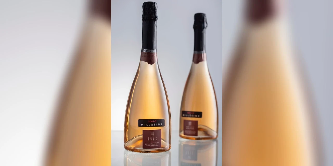 Vinhos & Viagens: Miolo proporciona nova experiência turística no Vale dos Vinhedos