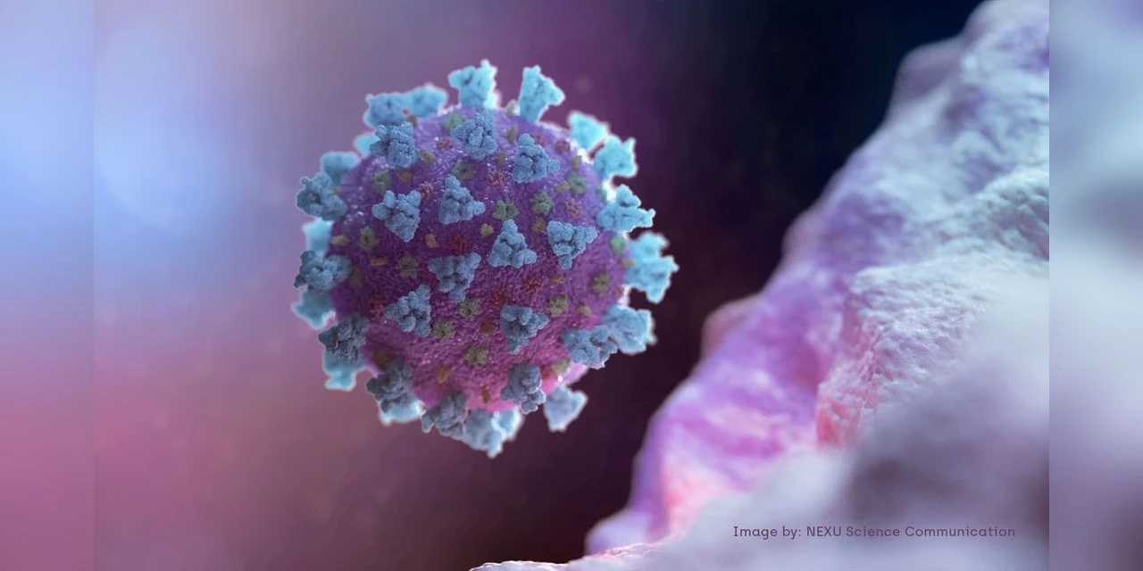 Boletim registra 3.027 novos casos de COVID-19 no Paraná nesta quinta (18)