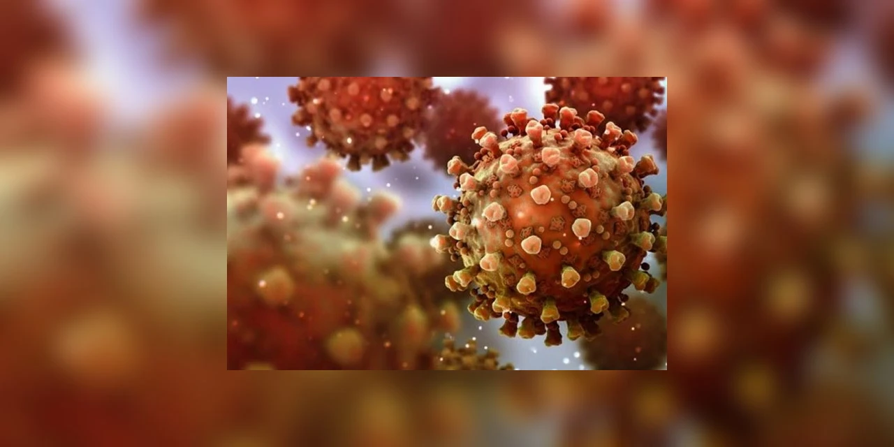 Covid-19 já infectou mais de 610 mil paranaenses