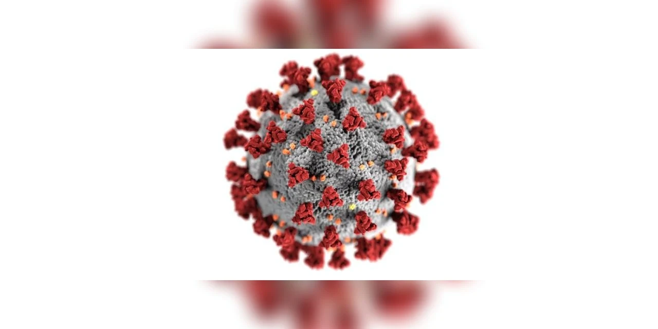 Por que a COVID-19 pode se tornar endêmica no Brasil, como dengue e gripe