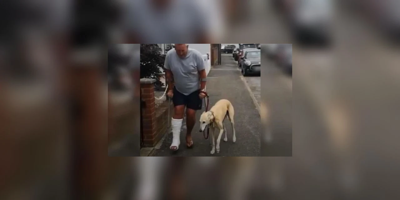 Vídeo: Homem manco gasta R$ 2 mil no veterinário e descobre que cão o imitava