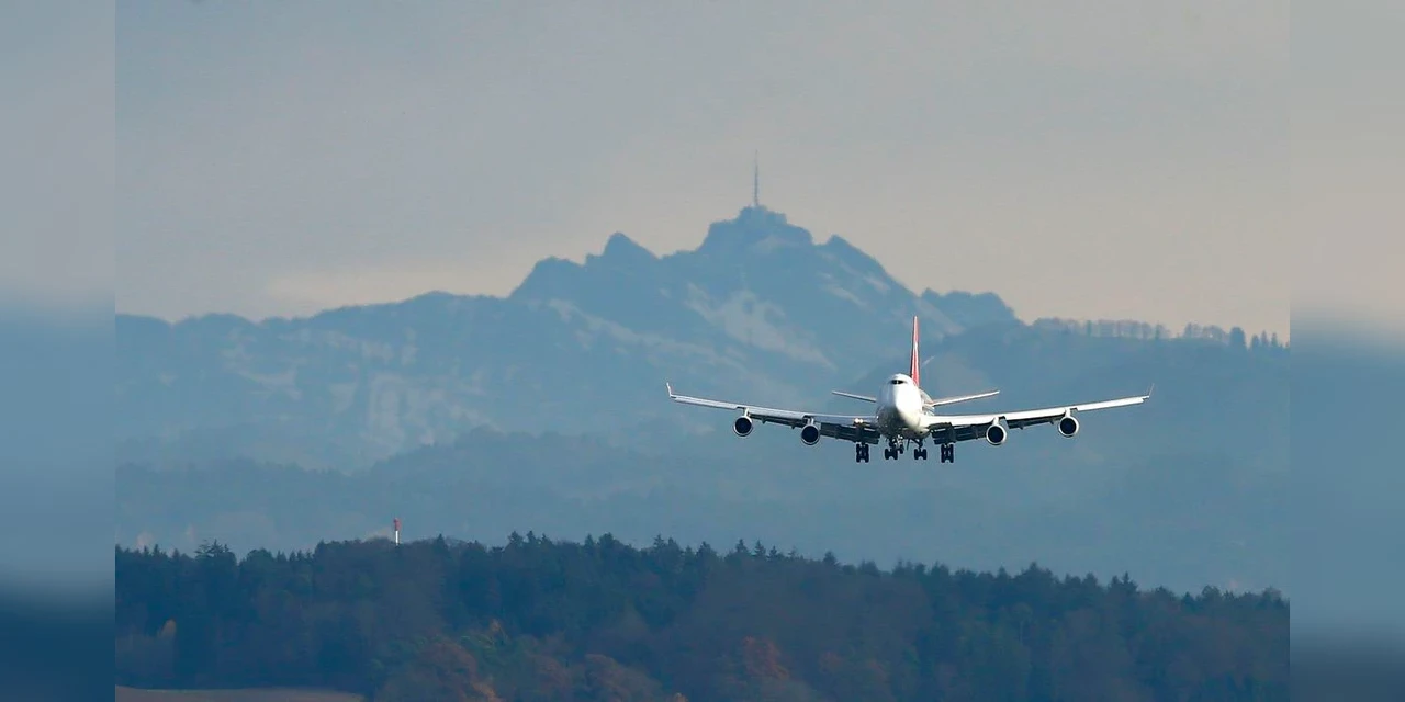 Gato invade cabine de avião, ataca piloto em pleno voo e força pouso de emergência