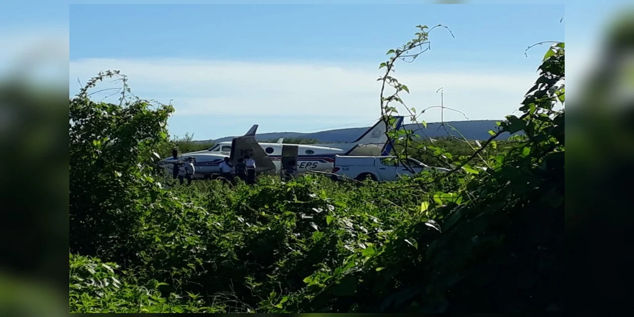 Avião que transportava vacinas bate em jumento em pista de aeródromo da Bahia