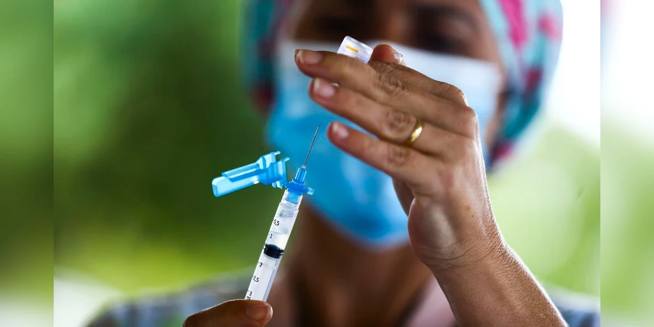 COVID-19: Anvisa se reúne com responsáveis por vacina indiana Covaxin