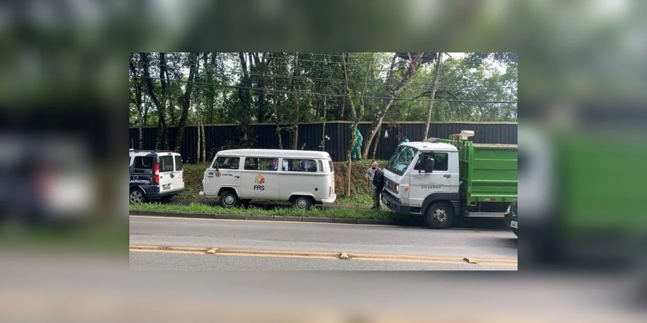 Fotos: Homem constrói casa na árvore e acaba removido pela Prefeitura de Curitiba
