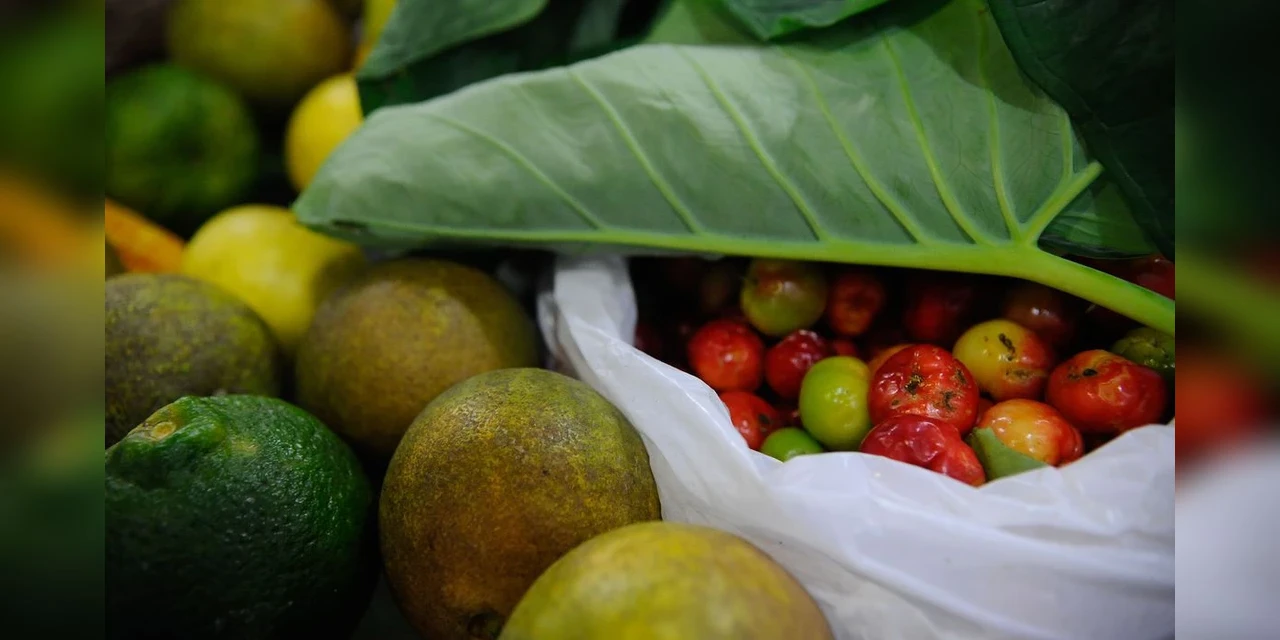 ONU afirma que 931 milhões de toneladas de alimentos foram para o lixo em 2019