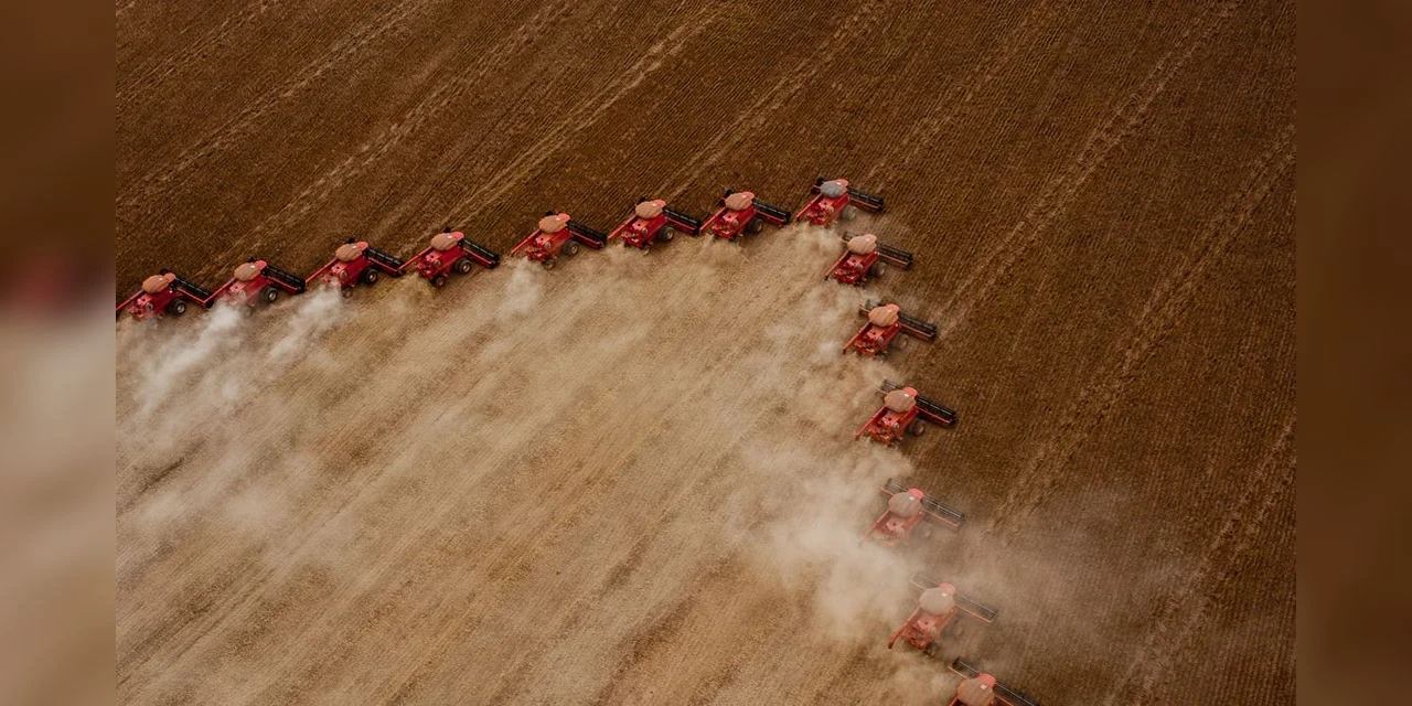 Brasil será maior exportador de grãos do mundo em cinco anos, afirma Embrapa