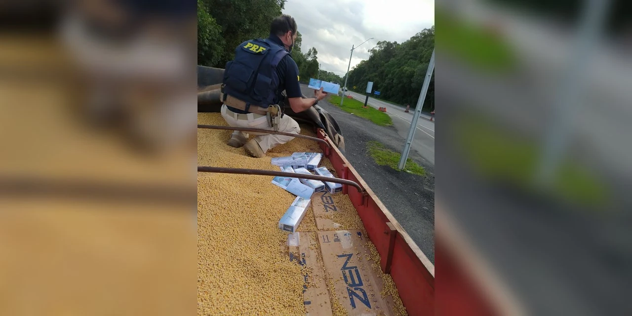 Caminhoneiro é preso em PG com 500 mil maços de cigarro paraguaio e munição pela PRF