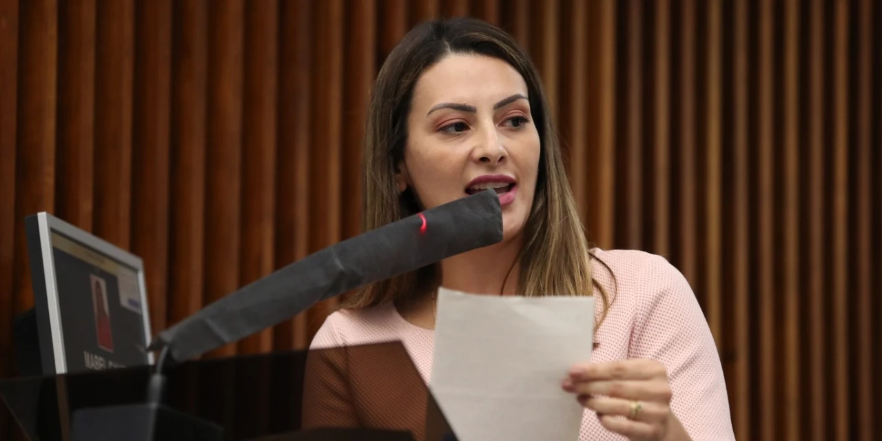 Mabel Canto participa de reunião de articulação para aquisição de vacina Russa