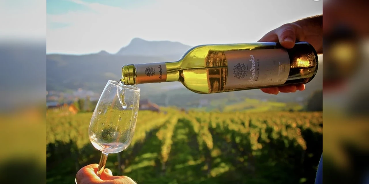 Vinhos & Viagens: Txakoli, o estilo de vinho do País Basco