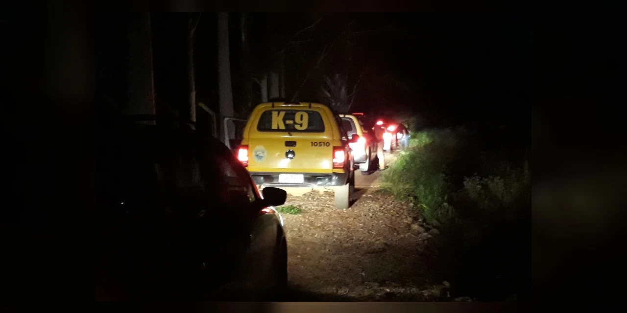 Secretaria de Justiça cria canal online para denúncias de festas clandestinas em todo Paraná