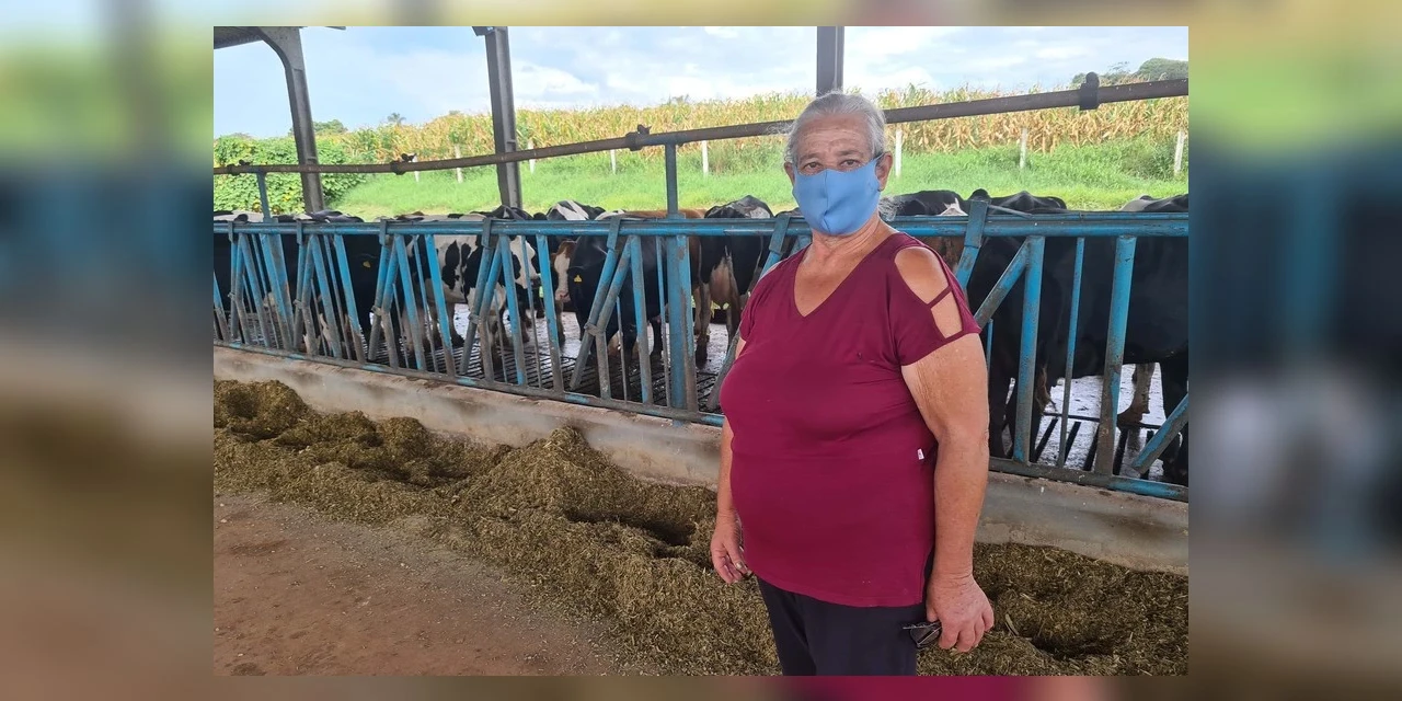 Parceria entre Sanepar e Frísia protege mananciais e beneficia produtores