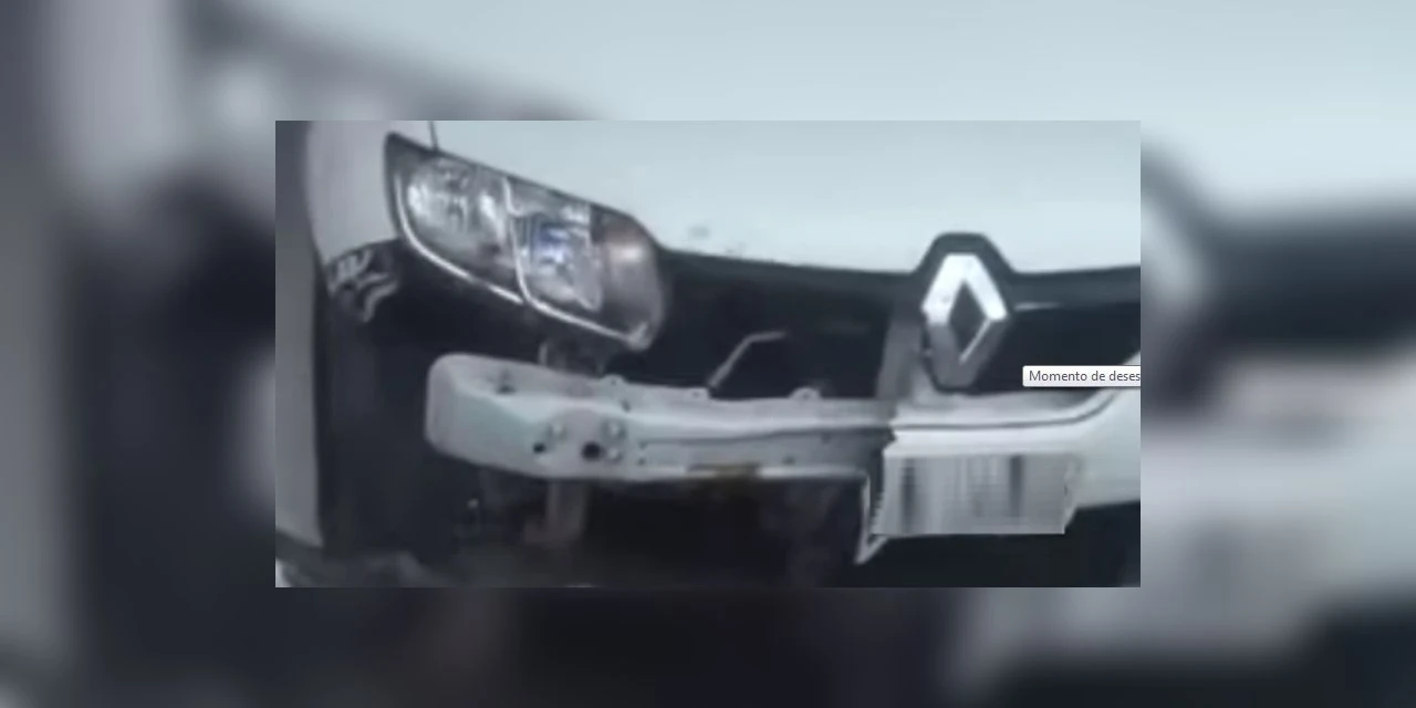 Vídeo: Pitbull destrói frente de carro em busca de gato; assista