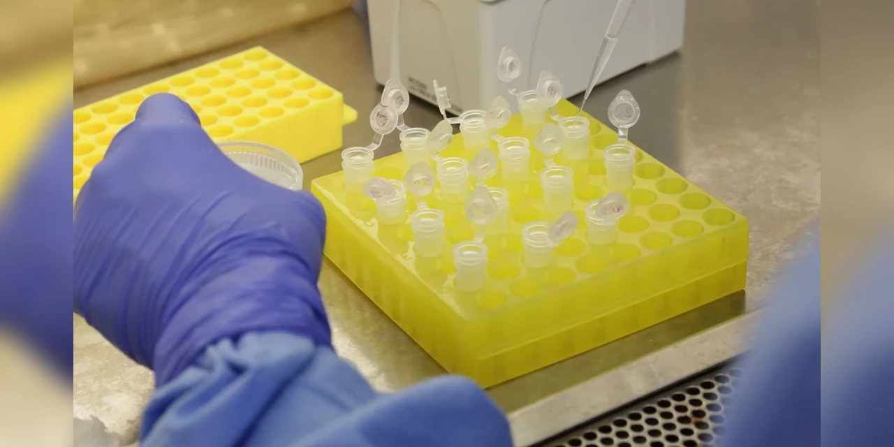 Boa notícia: Testes para vacina contra HIV têm resultados promissores