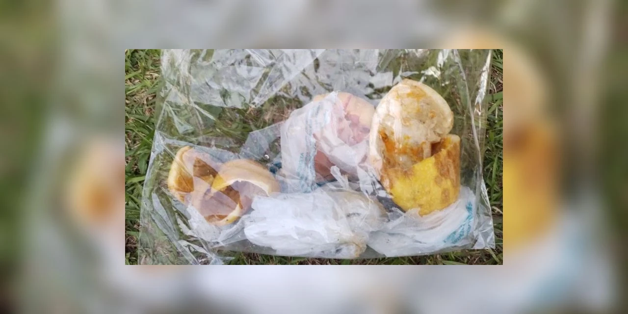 Idosa fica ferida no Paraná ao ser atingida por fruta arremessada do 13º andar durante Marcha da Família Cristã