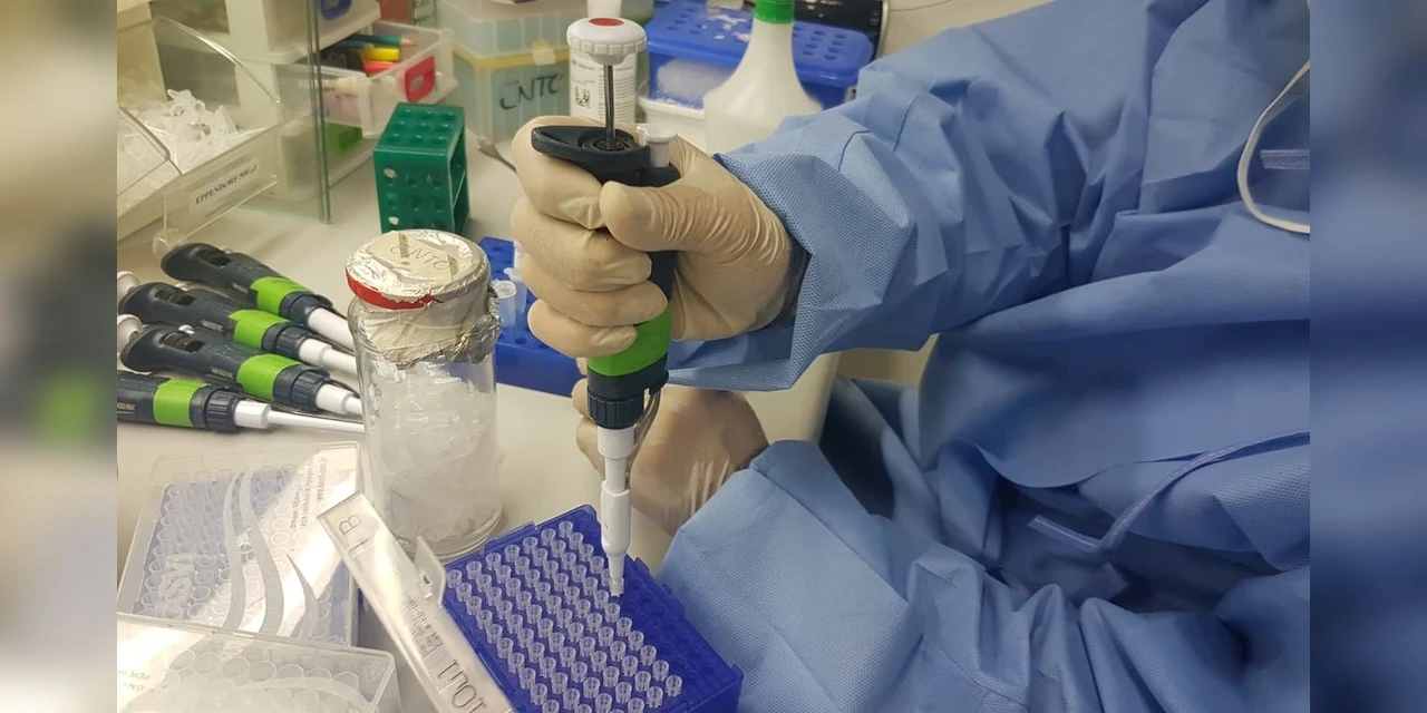 Vacina da Fiocruz Minas e da UFMG avança em testes de laboratório