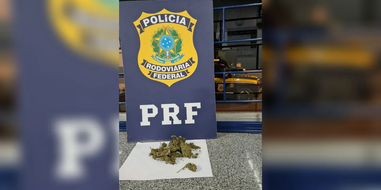 PRF apreende droga do tipo 'skunk' escondida dentro de veículo em Irati