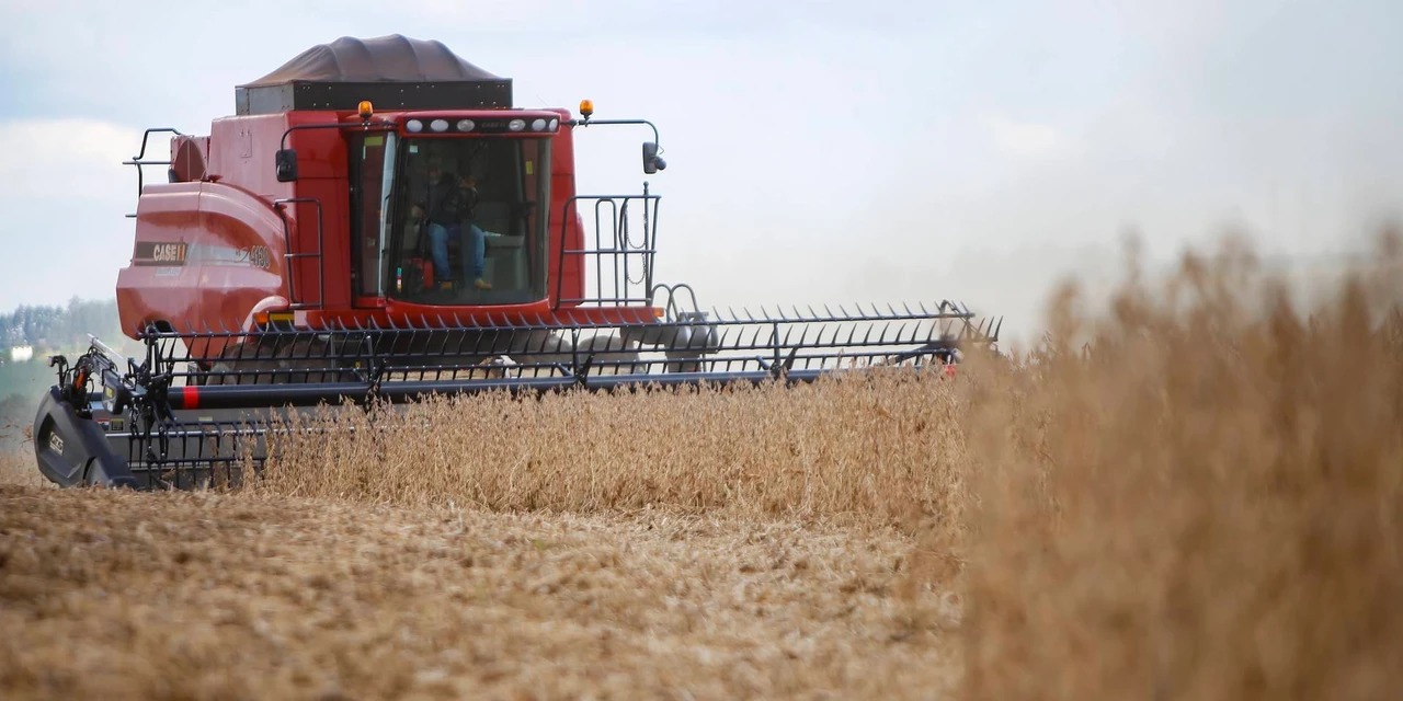 Paraná deve produzir 40,6 milhões de toneladas de grãos nesta safra