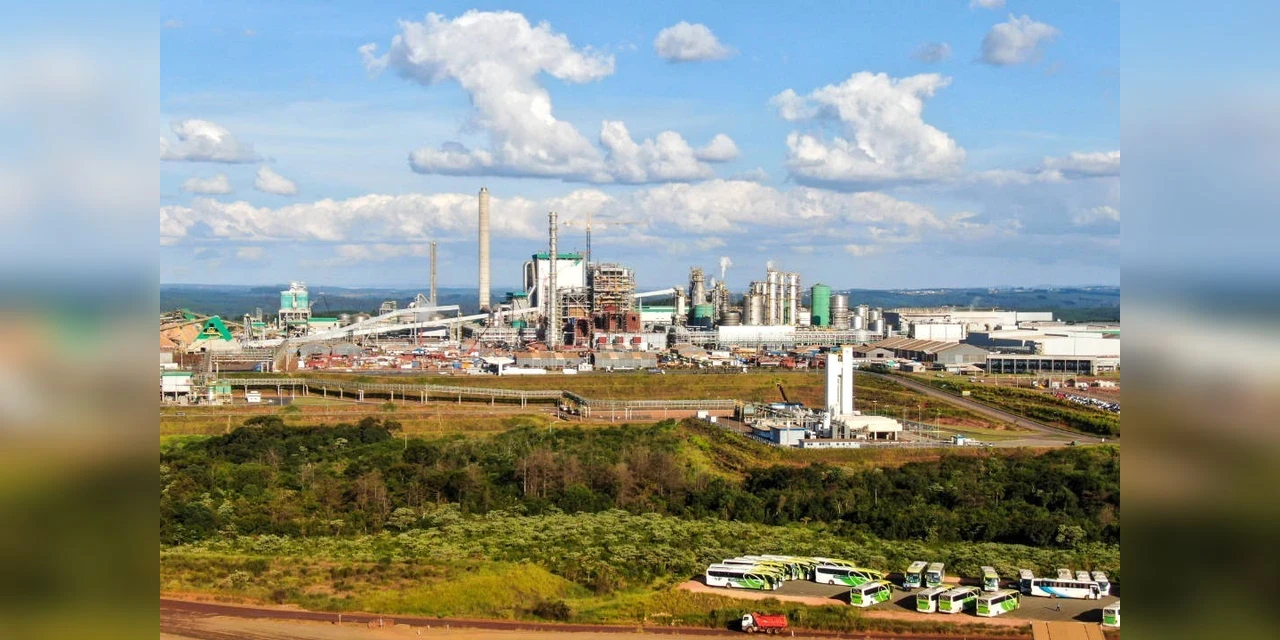 Klabin anuncia investimento adicional de R$ 2,6 bilhões no Paraná